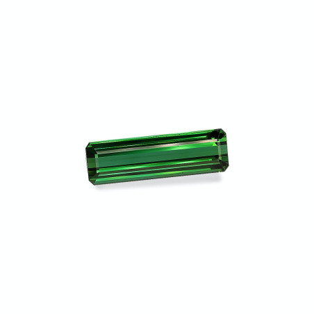 RECTANGULAR-cut Green Tourmaline Green 26.67 carats