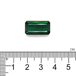Rechthoekige Basil Groene Toermalijn van 15,09 karaat