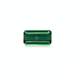 Tourmaline Verte taille...