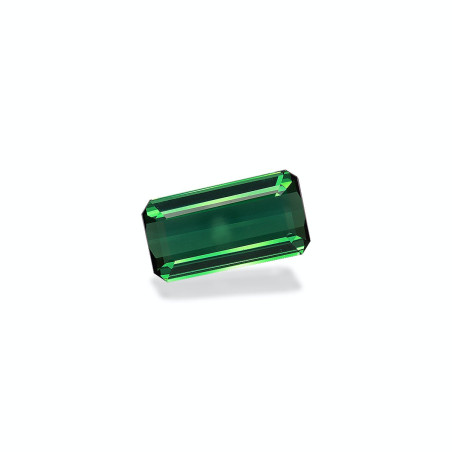 RECTANGULAR-cut Green Tourmaline Green 8.77 carats