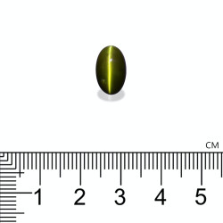 Kattenoog (chrysoberyl) OVALE snit Bosgroen 6,82 karaat