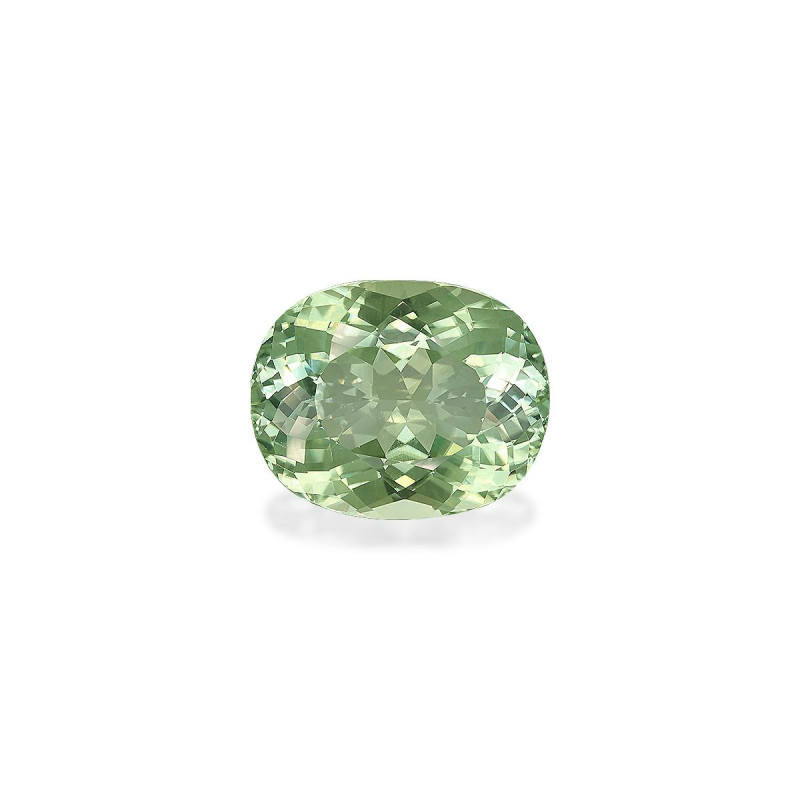 绿色电气石 taille 椭圆形 淡绿色 24.60 carats