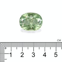 Ovale geslepen lichtgroene toermalijn van 24,60 karaat