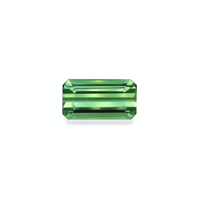 Tourmaline Verte taille RECTANGULARE Vert 16.83 carats