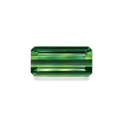 Turmalina Verde taille...