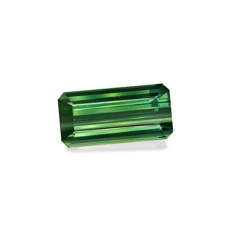 CUSHION-cut Green Tourmaline Cotton Green 32.42 carats