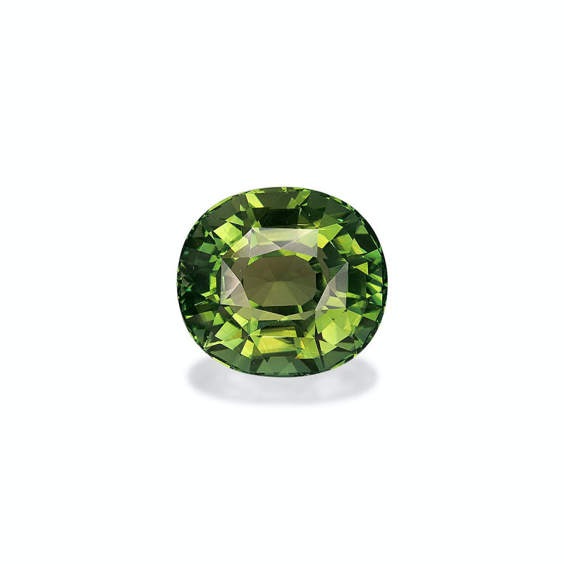 Tourmaline Verte taille OVALE Vert 25.28 carats