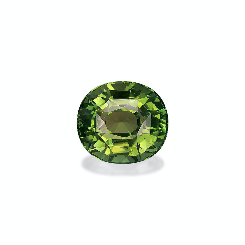 Tourmaline Verte taille OVALE 绿色 25.28 carats