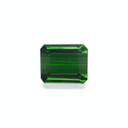 Tourmaline Verte taille...