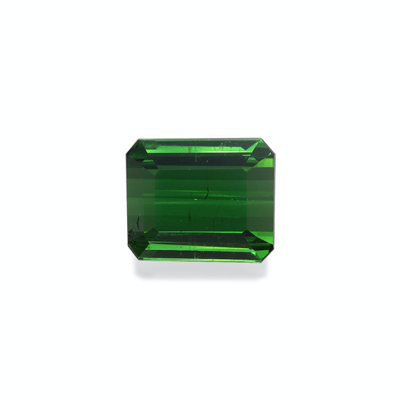 RECTANGULAR-cut Green Tourmaline Moss Green 10.83 carats