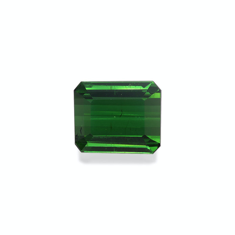 绿色电气石 taille 矩形的 苔藓绿 10.83 carats