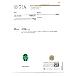 Groene Toermalijn kussen gesneden Basil Green 12.38 karaat