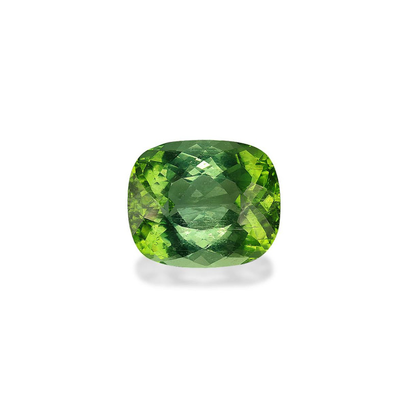 CUSHION-cut Paraiba Tourmaline Green 19.56 carats