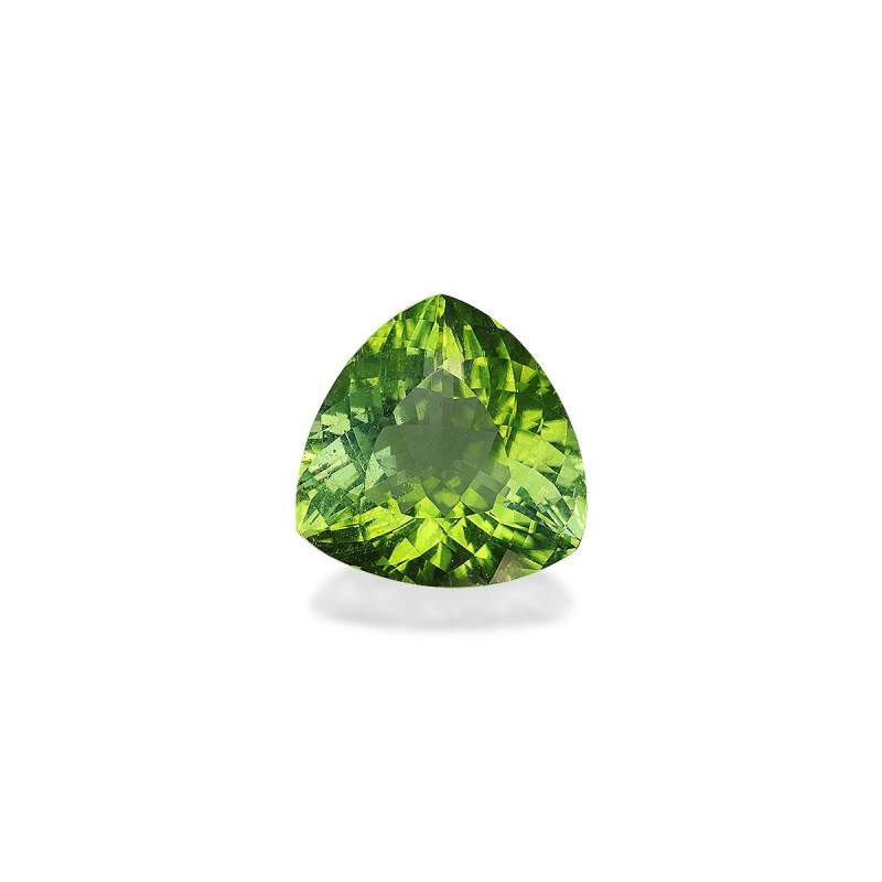 Tourmaline Paraiba taille Trilliant Vert 14.81 carats