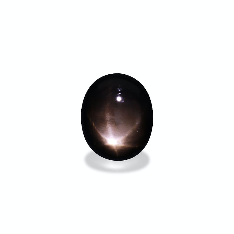 OVAL-cut Black star sapphire Black 17.20 carats