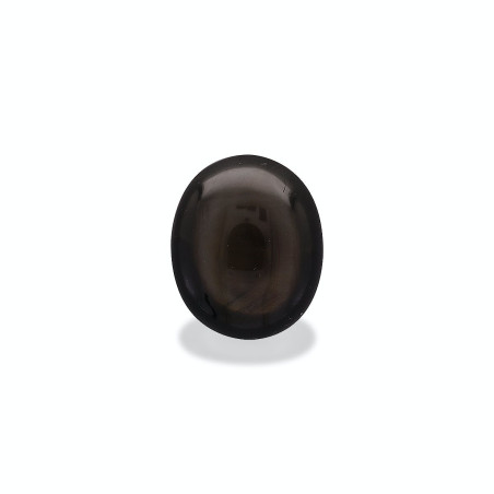 Saphir étoilé noir taille OVALE Black 17.20 carats