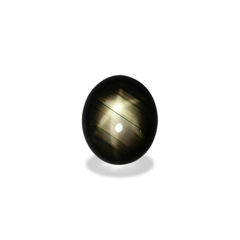 Saphir étoilé noir taille OVALE Black 17.10 carats