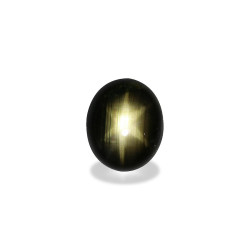 OVAL cut Black star sapphire Black 21.87 carats