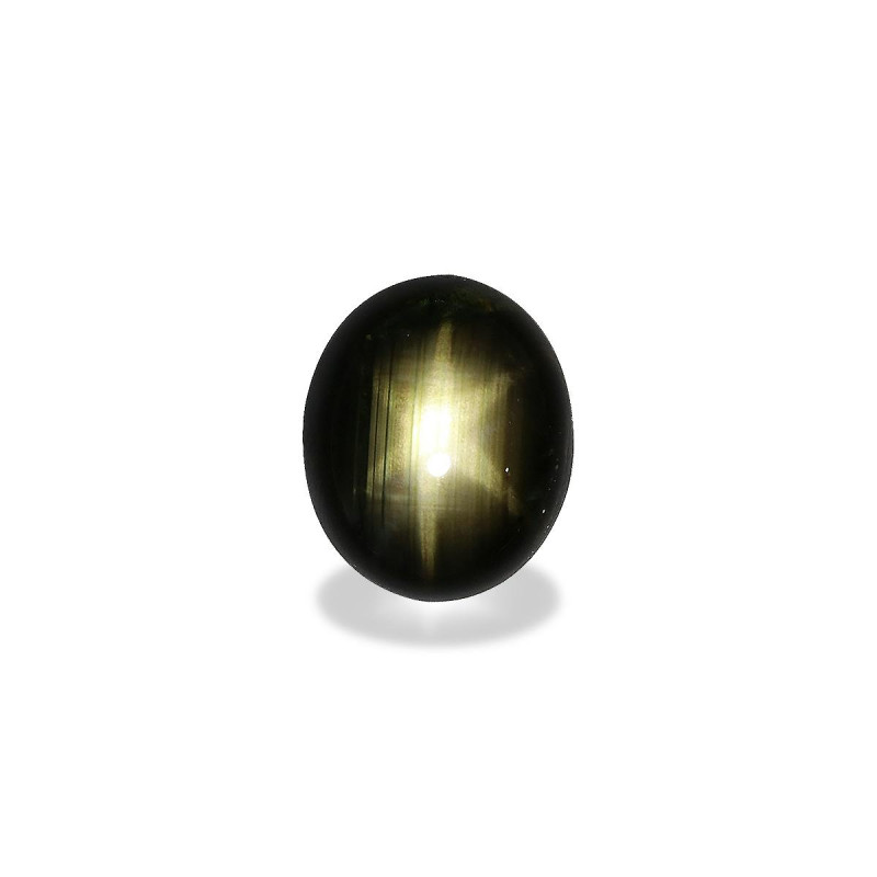 OVAL-cut Black star sapphire Black 20.64 carats