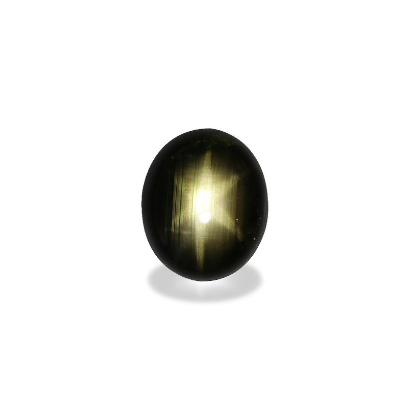 Saphir étoilé noir taille OVALE 黑色 20.64 carats