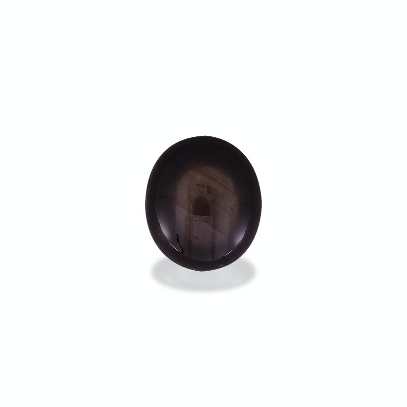OVAL cut Black star sapphire Black 26.11 carats