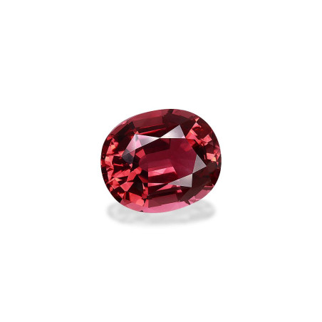 Tourmaline rose taille OVALE Rosewood Pink 63.22 carats