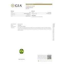 Ovale Lime Green Paraiba Toermalijn van 7,94 karaat