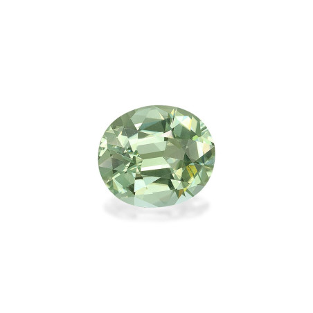 Turmalina Verde taille OVALE Vert Pâle 7.30 carats