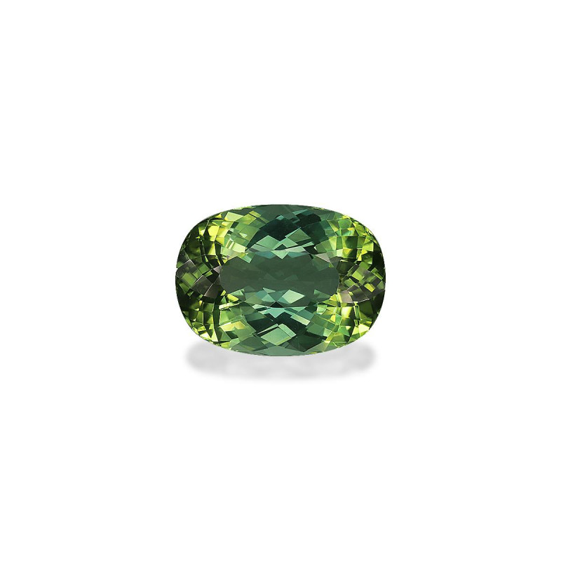 CUSHION-cut Green Tourmaline Green 12.51 carats