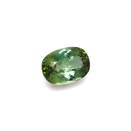 CUSHION-cut Green Tourmaline Green 12.51 carats