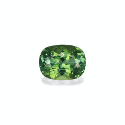绿色电气石 taille 靠垫 棉花绿 12.20...