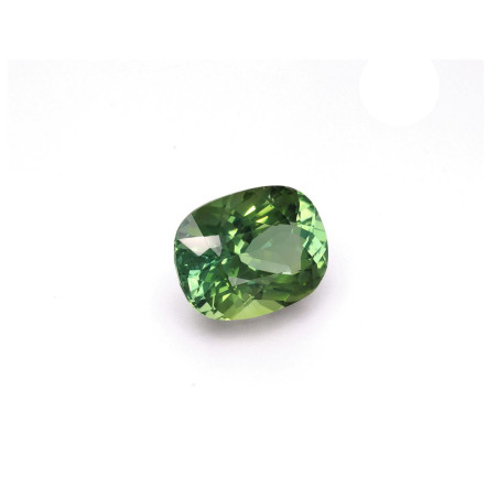Turmalina Verde taille COUSSIN Cotton Green 12.20 carats