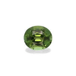 OVAL-cut Green Tourmaline...