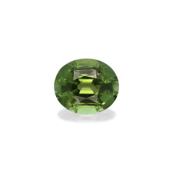 OVAL-cut Green Tourmaline...