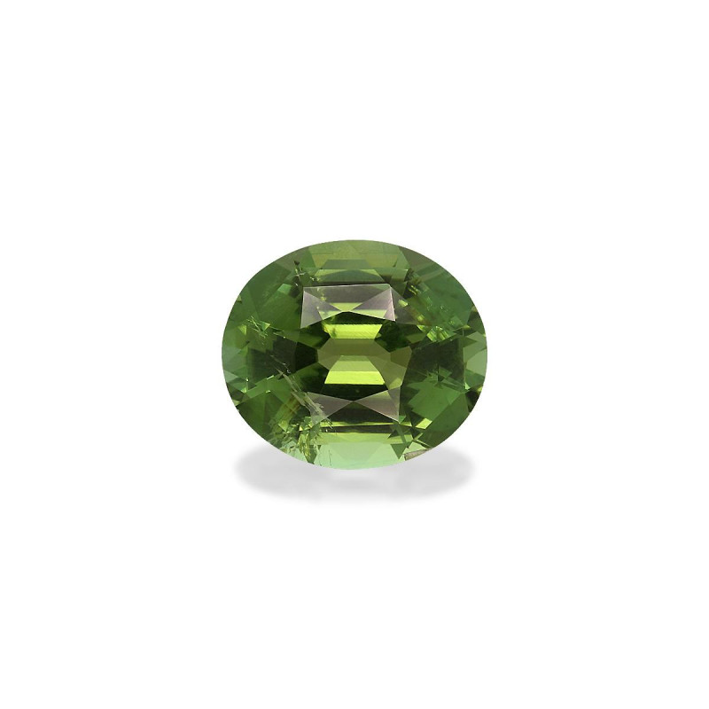 OVAL-cut Green Tourmaline Olive Green 7.91 carats