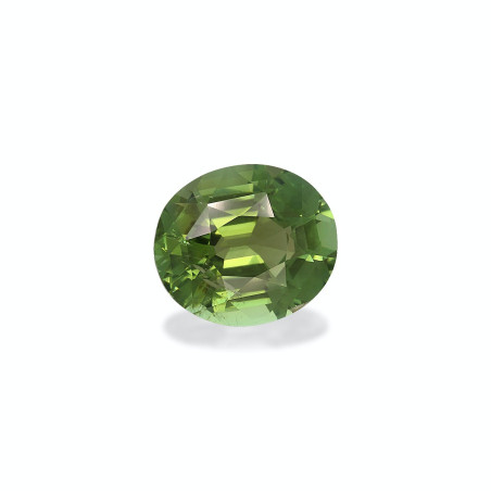 Grüner Turmalin lengte OVAL Olivgrün 7.91 karaten