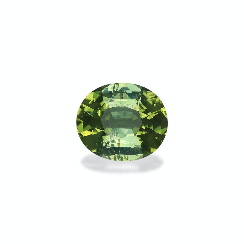 Tourmaline Verte taille OVALE Lime Green 7.84 carats