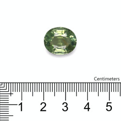 Ovale geslepen groene toermalijn van 9,83 karaat