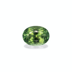 Turmalina Verde taille...