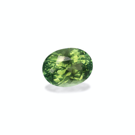 Grüner Turmalin lengte OVAL Baumwollgrün 15.76 karaten