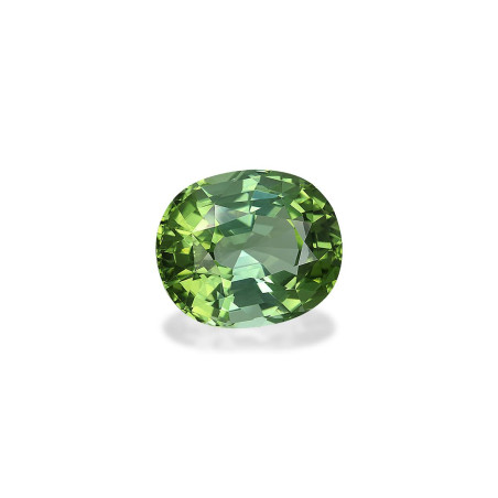 Grüner Turmalin lengte OVAL Blasses Grün 27.00 karaten