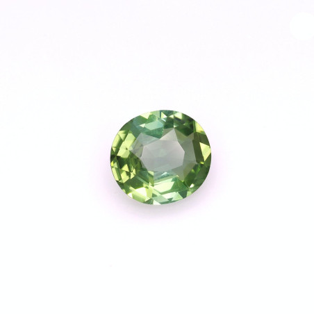 Turmalina Verde taille OVALE Cotton Green 6.17 carats