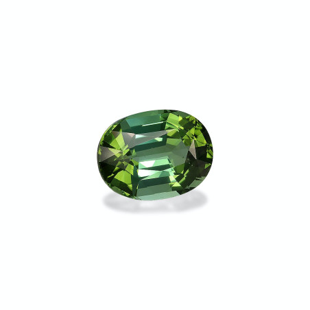 Tourmaline Verte taille OVALE Basil Green 12.49 carats