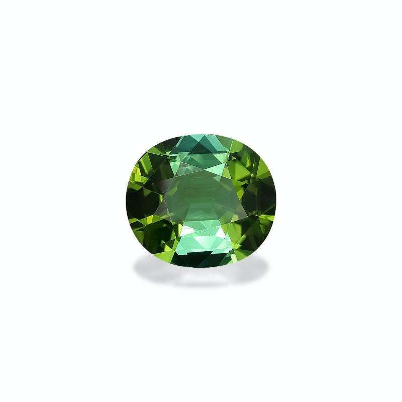 Tourmaline Verte taille OVALE Vert 14.49 carats
