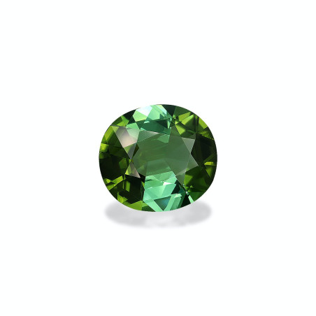 Grüner Turmalin lengte OVAL Grün 14.49 karaten