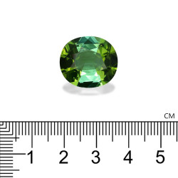 Ovale geslepen groene toermalijn van 14,49 karaat