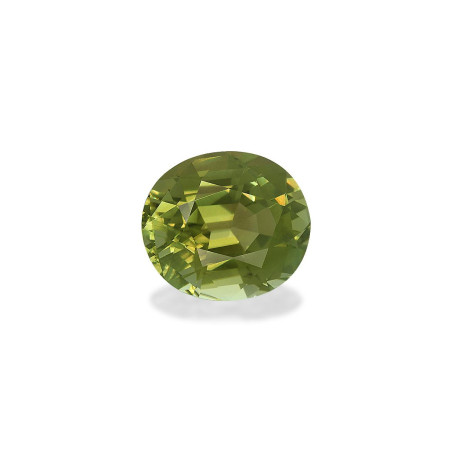 Grüner Turmalin lengte OVAL Waldgrün 15.18 karaten