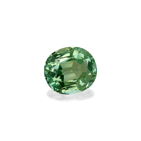 Grüner Turmalin lengte OVAL Blasses Grün 34.22 karaten