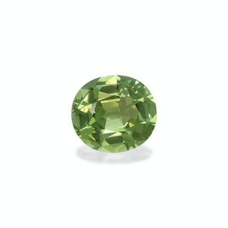 Turmalina Verde taille OVALE Vert Pistache 23.53 carats