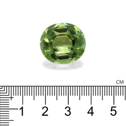 Ovale geslepen Pistache Groene Toermalijn van 23,53 karaat